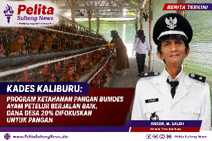 Kades Kaliburu: Program Ketahanan Pangan BUMDes Ayam Petelur Berjalan Baik, Dana Desa 20 % Difokuskan untuk Pangan