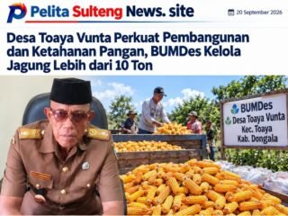 Desa Toaya Vunta Perkuat Pembangunan dan Ketahanan Pangan, BUMDes Kelola Jagung Lebih dari 10 Ton