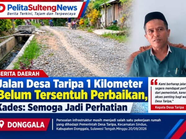 Jalan Desa Taripa 1 Kilometer Belum Tersentuh Perbaikan, Kades: Semoga Jadi Perhatian